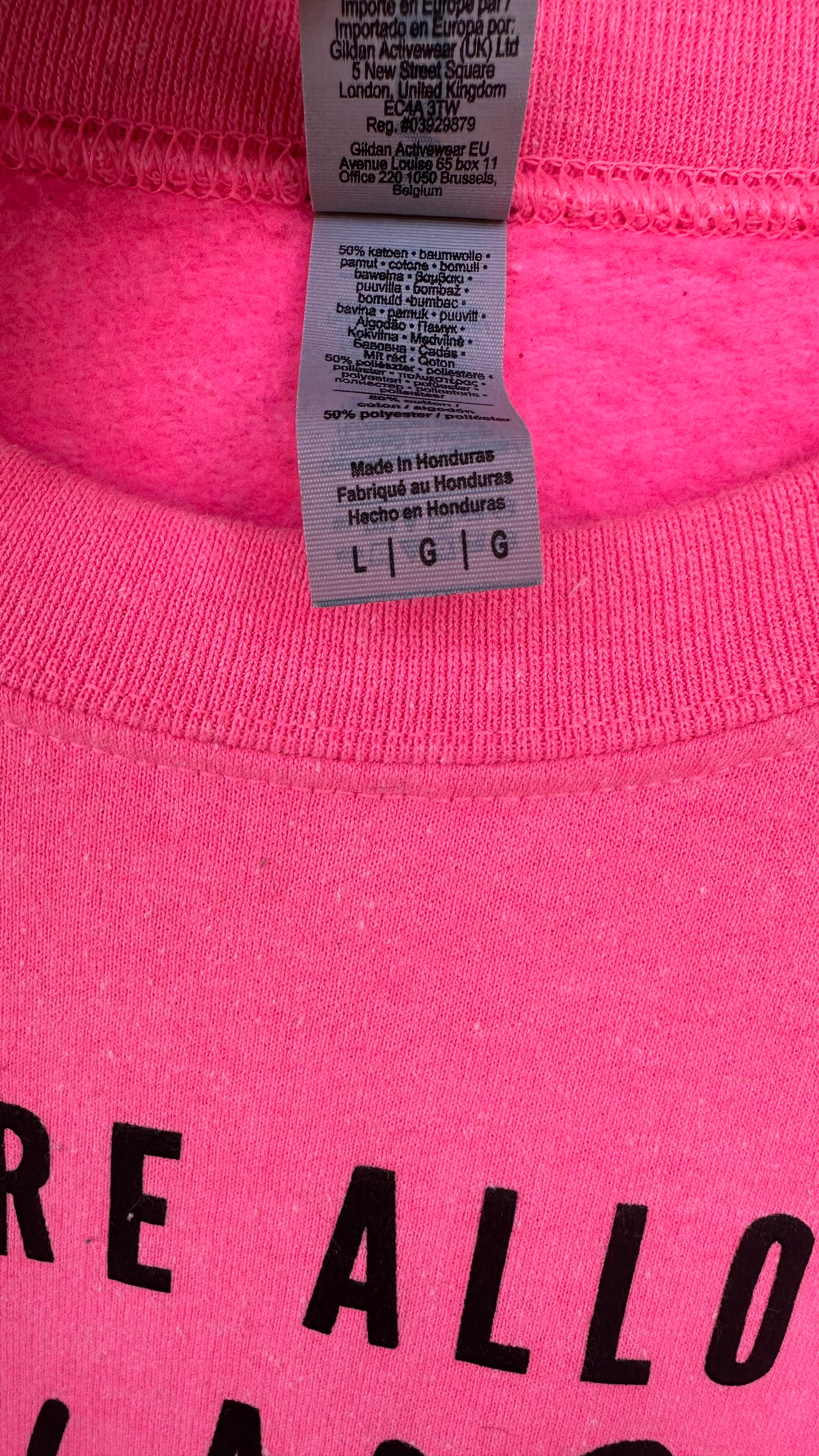 Gildan sweatshirt